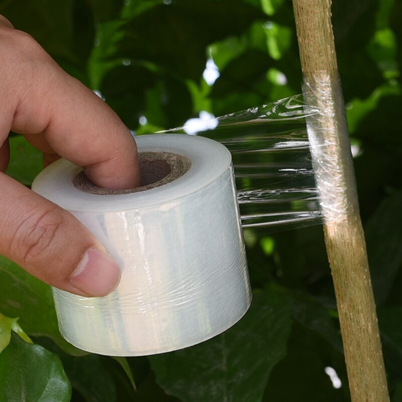 Cinta adhesiva para injertos de árboles frutales, cinta de amarre para jardinería, accesorios para injertos, 3/5CM x 150M