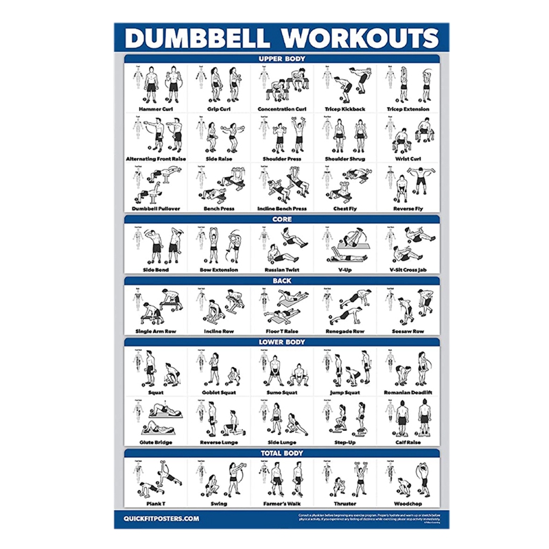 Fitness Workout Posters-Bodyweight Exercise Posters for Body Workout-Core,Abs,Legs,Glutes &amp; Upper Body Training Program: Default Title