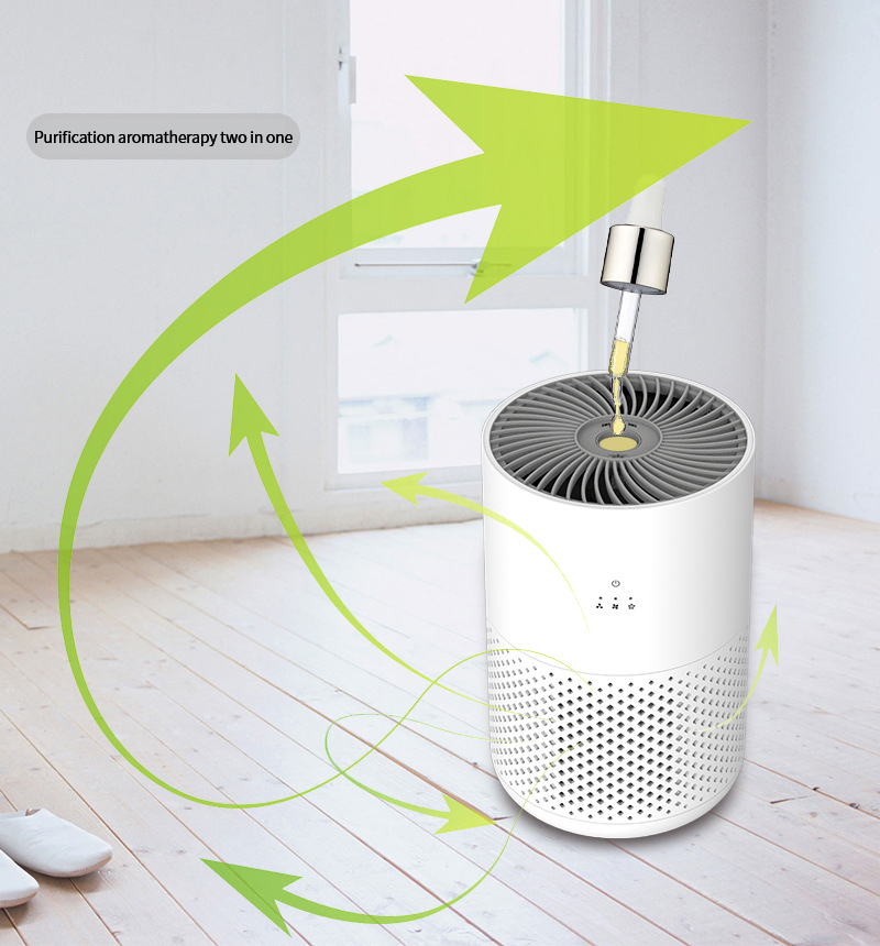 RIGOGLIOSO-purificador de aire de iones negativos para el hogar, filtro H11 HEPA, eliminación de formaldehído, aromaterapia, limpiador de aire