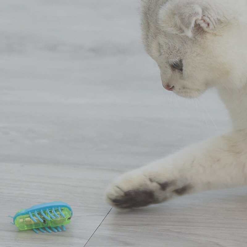 1pc elektriska insekter kattleksak katt fly hinder automatisk flip leksak batteridriven vibration olika färger husdjur interaktiv leksak