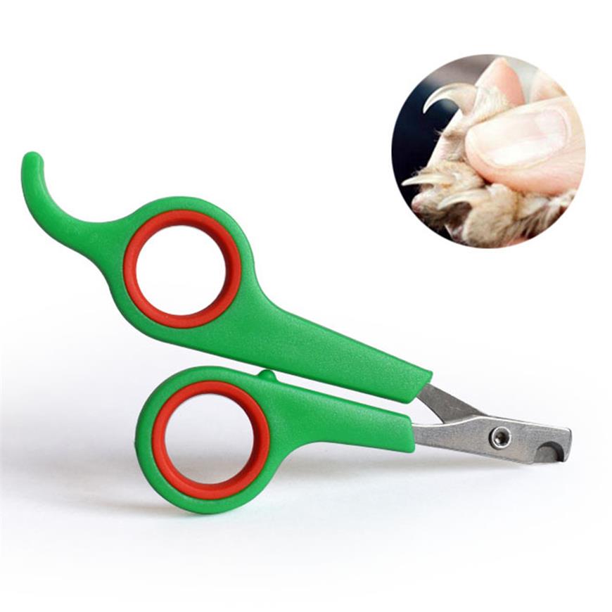 Stainless Steel Pet Dog Cat Nail Clipper Trimmer Claws Scissor Cut Product Pet Nail Safety Cutter Tool Dog Supplies: green red