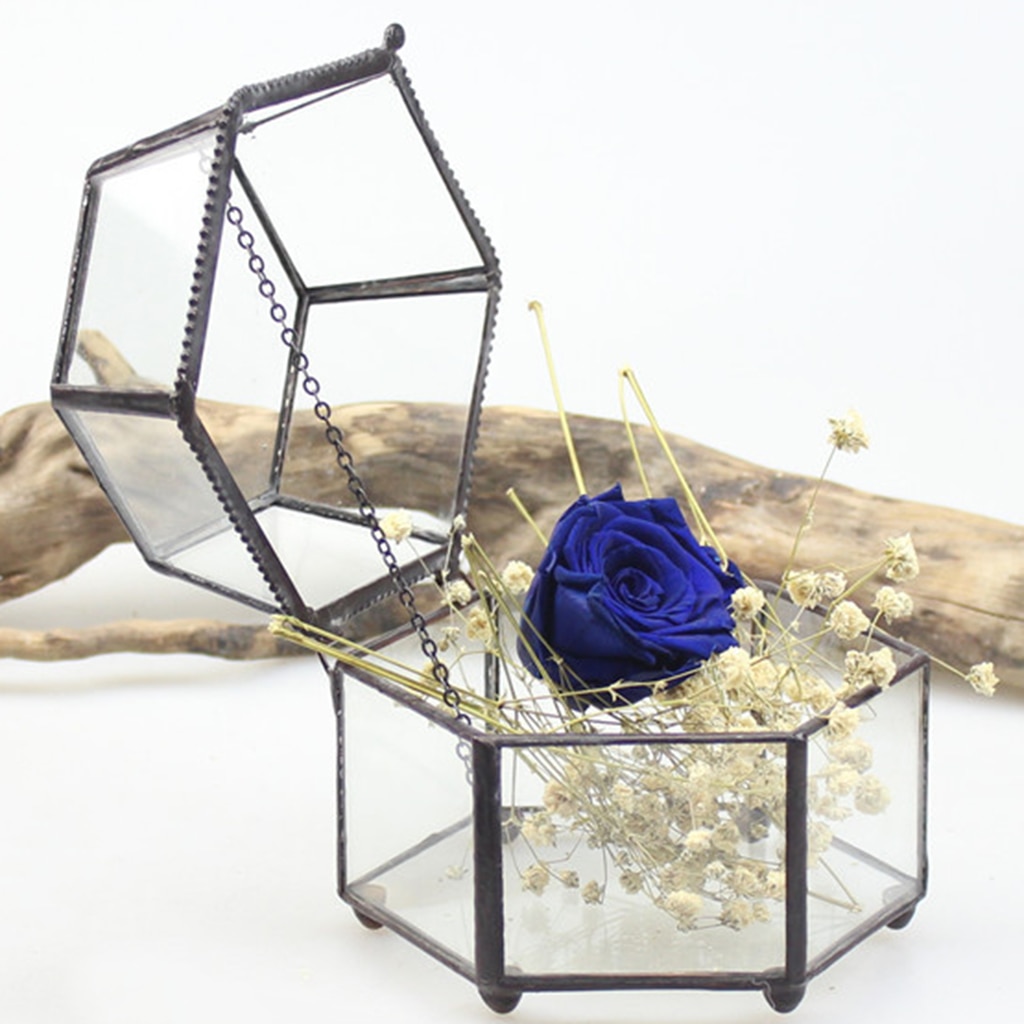 Irregular Glass Geometric Terrarium Box Tabletop Succulent Air Plant Fern Moss Pot Planter