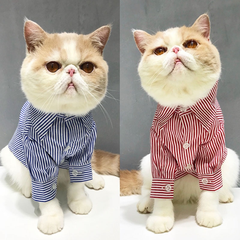 Kjæledyr hund katt klær drakt stripet skjorte vinter høst klær for små mellomstore hunder chihuahua fransk bulldog mops yorkie frakk