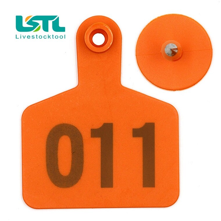 100 Stuks Vee Koe Oor Tag Borden Oor Kaarten Met Woorden Typen Koperen Hoofd Oorbellen Farm Animal Identificatiekaart: Orange