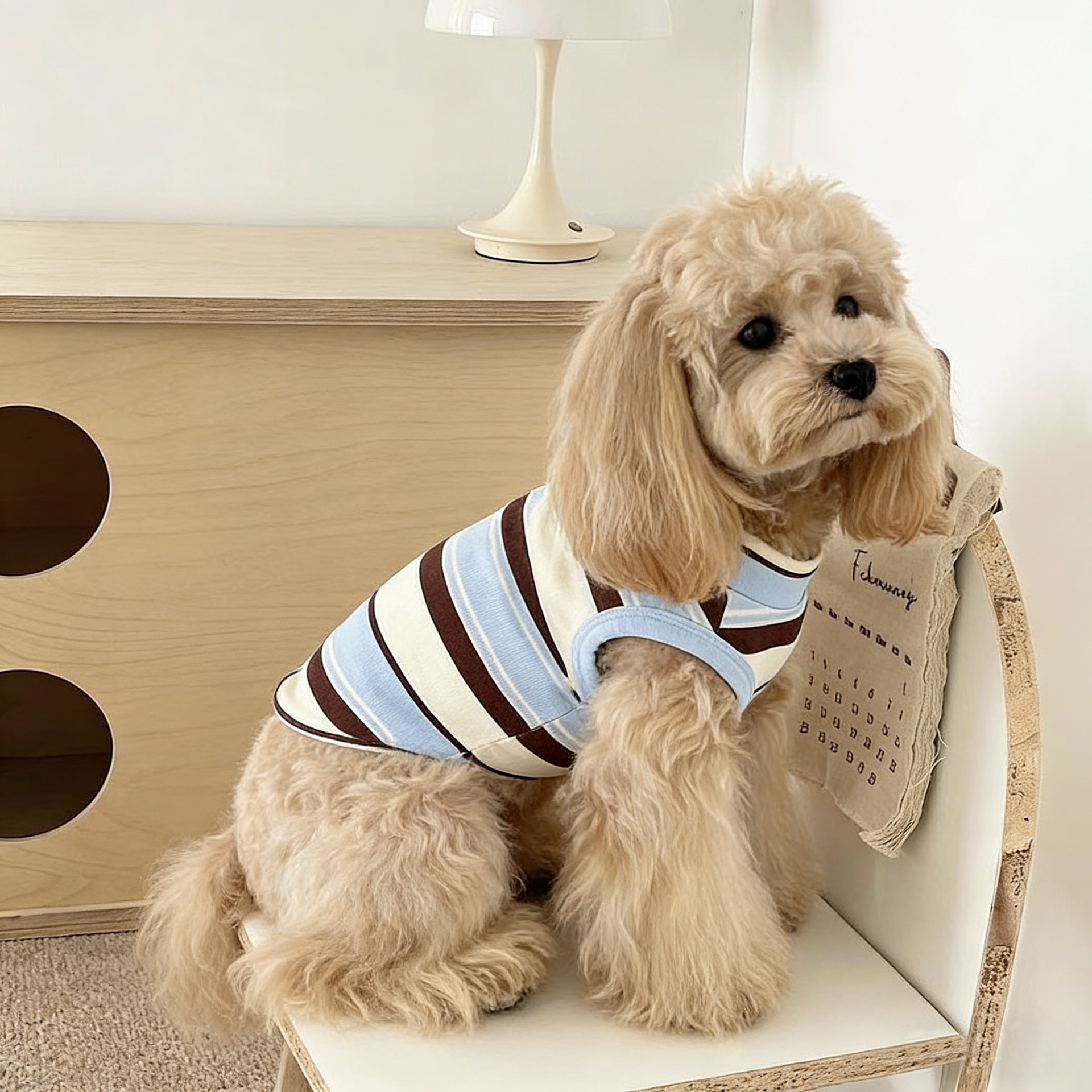 Colete Listrado Respirável para Gatos e Cães Pequenos: Roupa Refrescante para Schnauzer, Teddy e Yorkshire