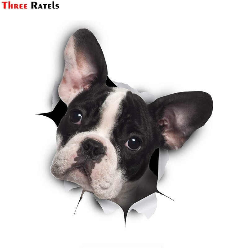 Three Ratels FC57 3D Dog Sticker Black White Frenchie French Bulldog Decal Bumper Sticker for Window Car Truck Laptop Toilet: 30cm