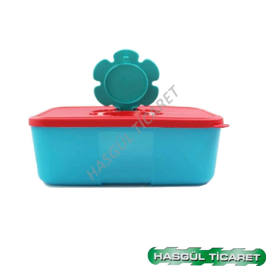 Tupperware lingettes boîte grande lingettes humides boîte HSGL