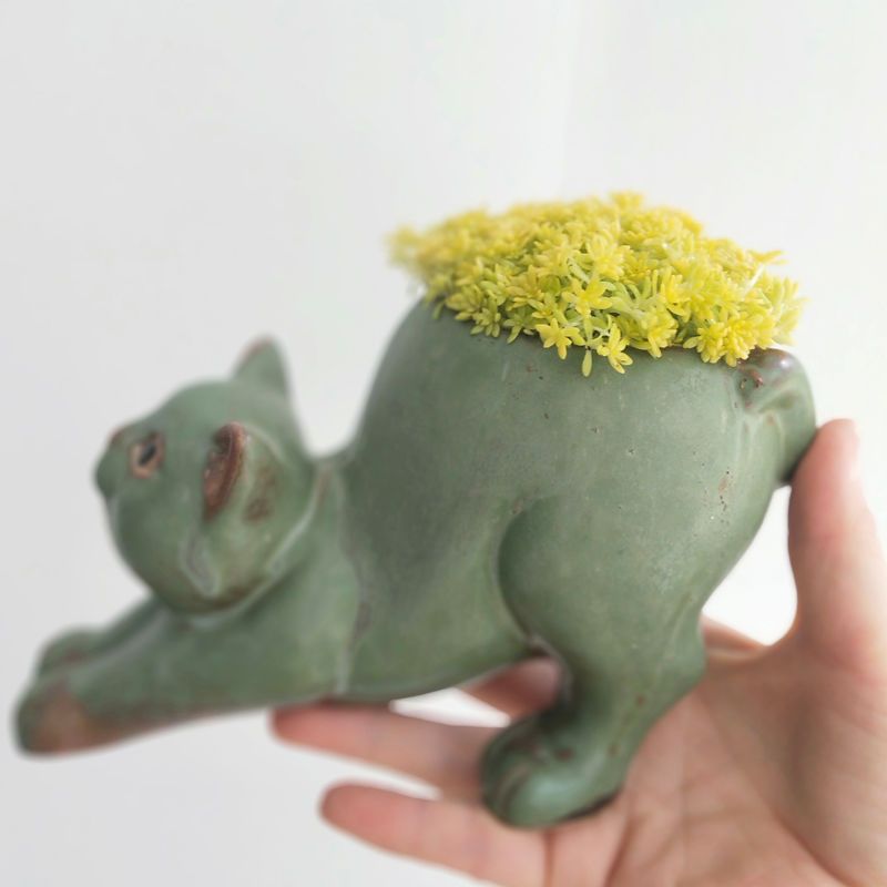 Sukkulenten-Blumentopf, Katze, niedliches Karikatur-Ebene, kreative Persönlichkeit, Spaß, Keramik, Wannian Gras, Affe, Schwanz, Säule, Büro-Ornament