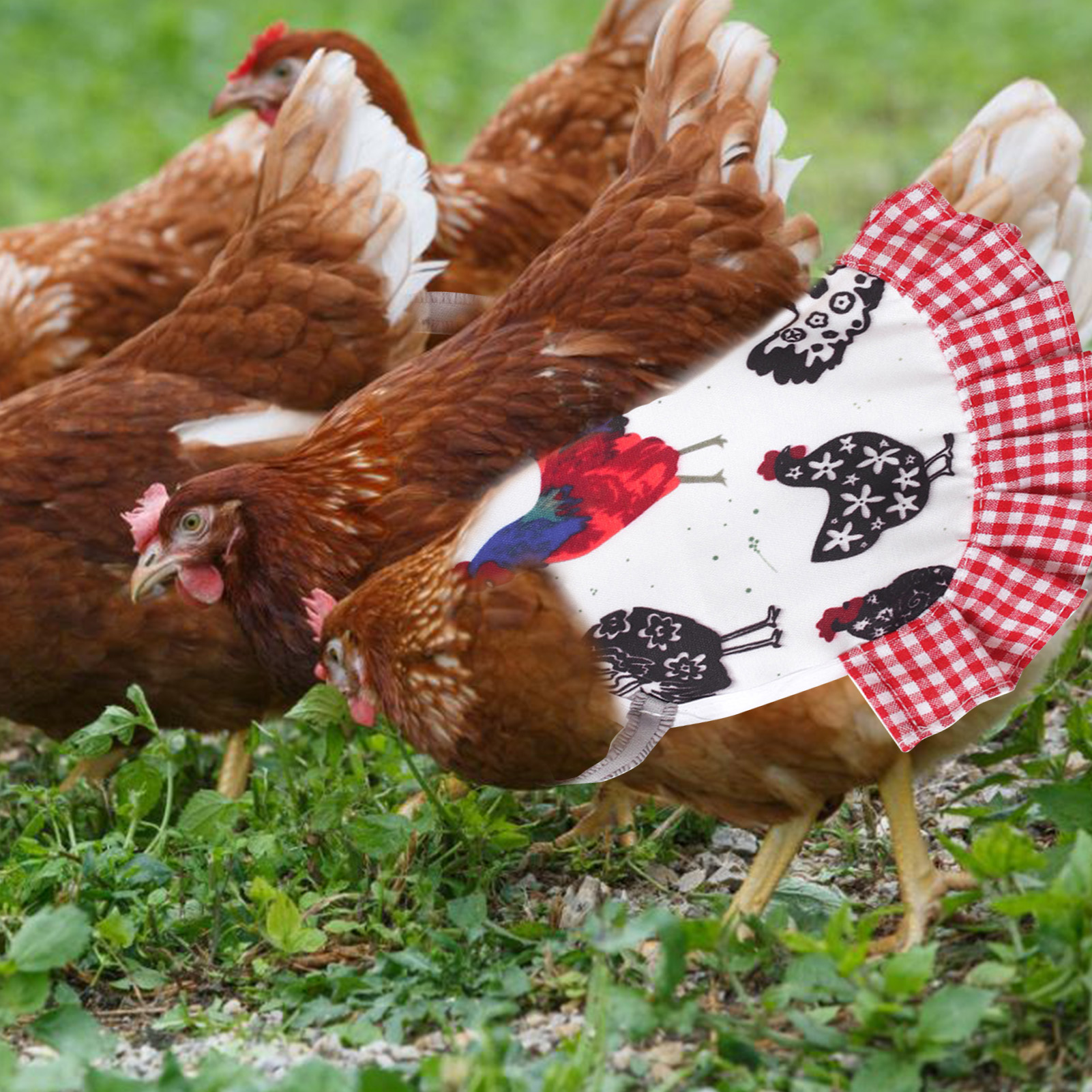 Tablier de poule élastique, motifs coq, selle de poulet, dos protecteur de plumes pour animaux de compagnie, tissu confortable, fournitures pour animaux de compagnie