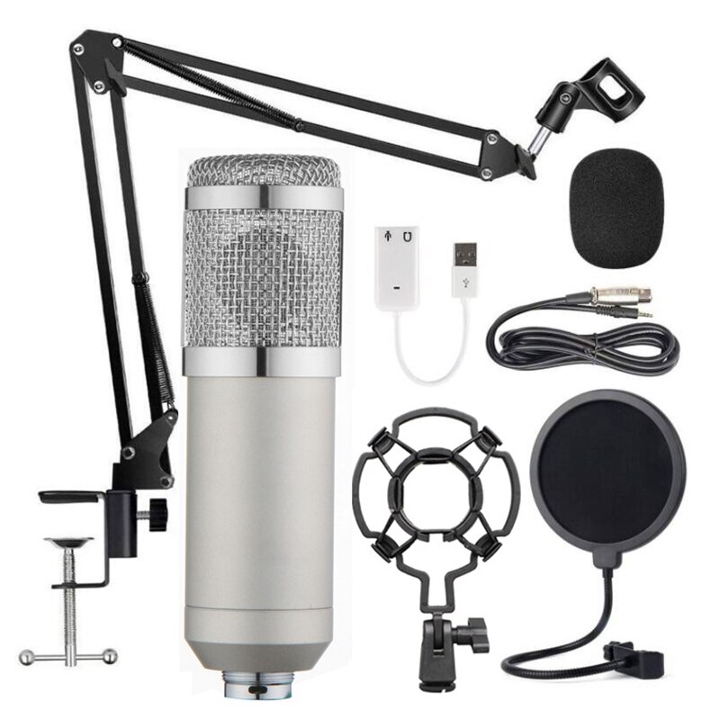 Kit de Microphone suspendu de BM-800, enregistrement en direct: Silver