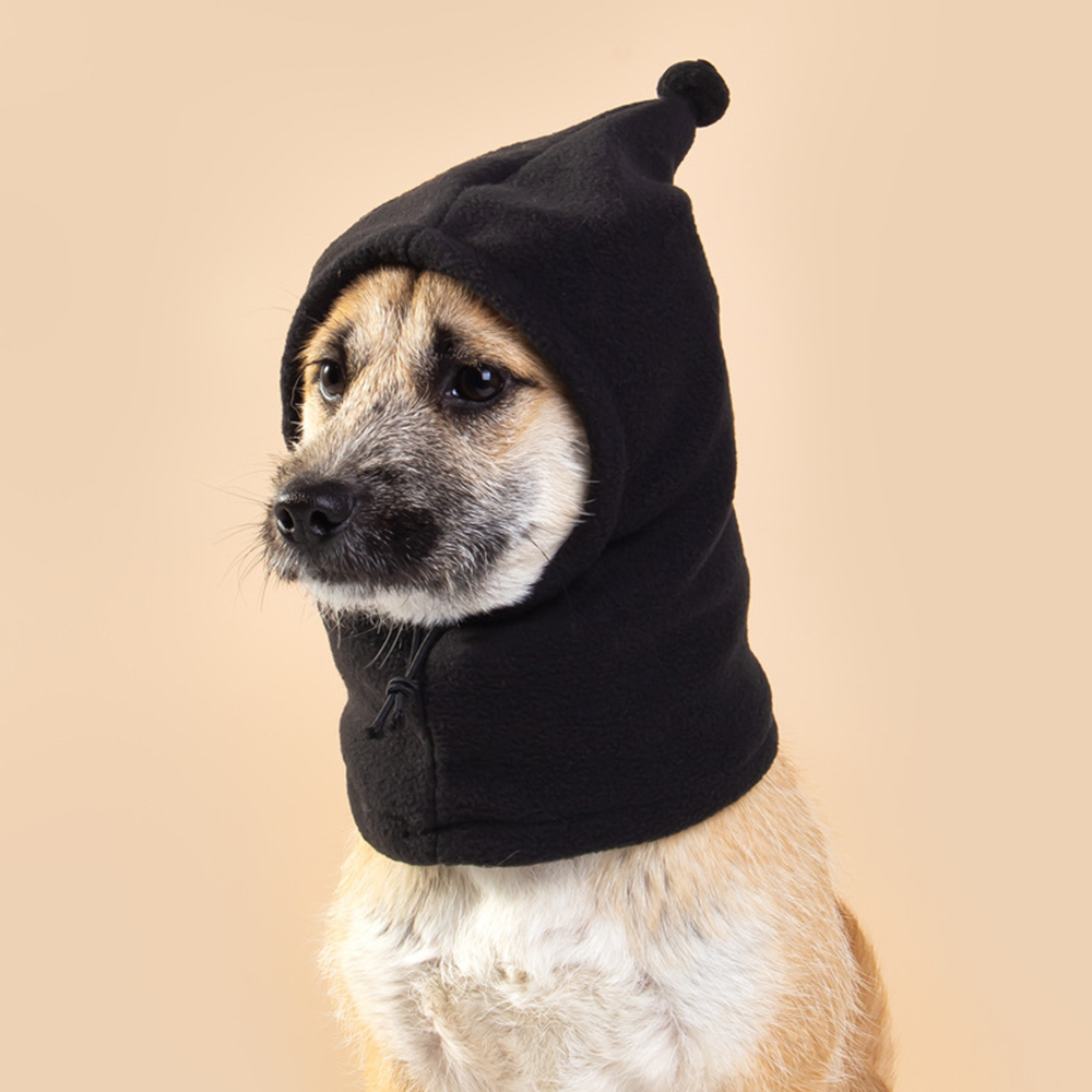 Chapeau d'hiver pour chien, couleur unie, bouledogue français, , cordon réglable, couvre-chef pour animaux de compagnie, casquette polaire douce pour chiot