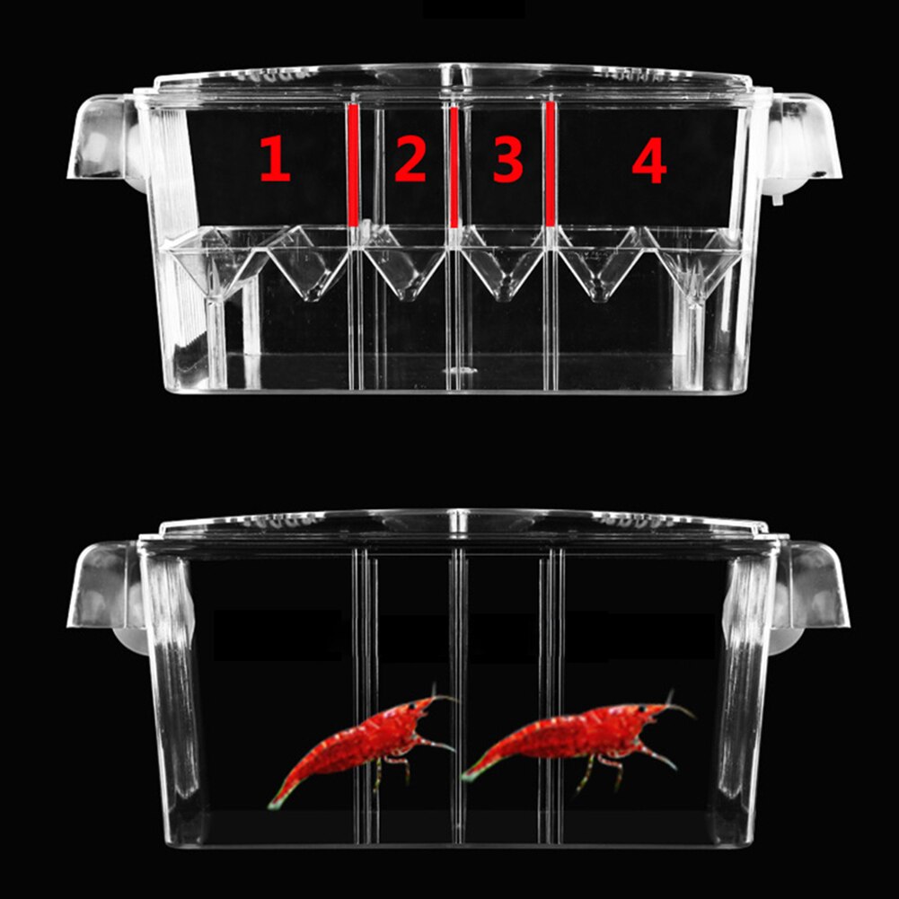 Caja de incubación de peces autofotante, incubadora de cría de acuario de alta transparencia, caja de aislamiento, tanque de peces multifunción de doble capa
