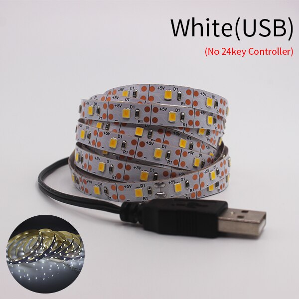 USB RGB LED Strip Light SMD2835 5M 1M 2M 3M 4M 0.5M Diode Tape Flexible Neon Led Light Ribbon LED Strip USB 5V TV Backlight: White / 1M
