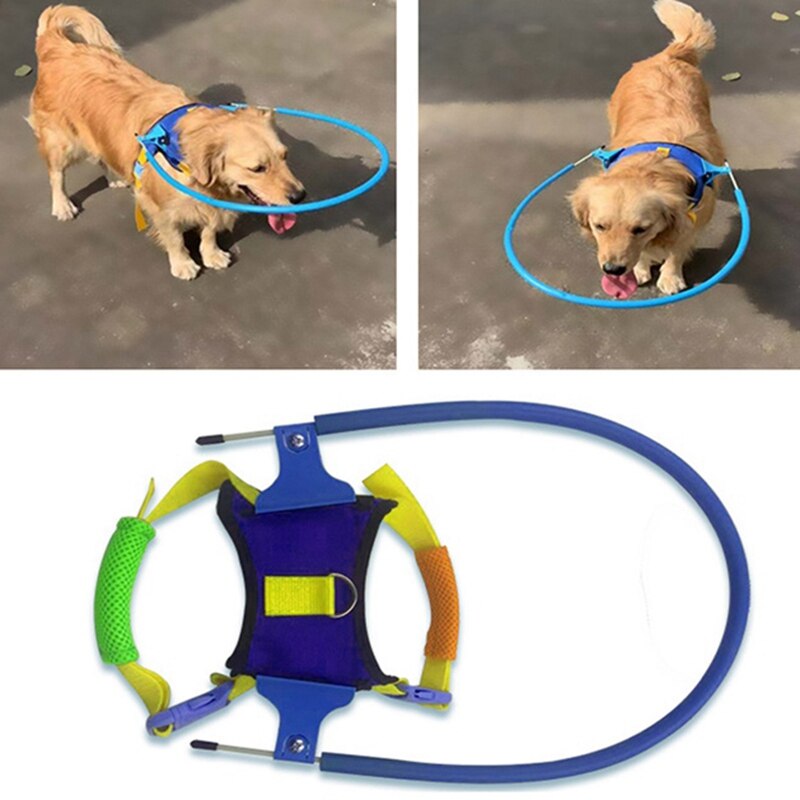 Stappen Blind Pet Anti-Collision Ring Schorpioen Cataract Dier Bescherming Cirkel Gids Hond Harnas Voor Kleine Puppy Honden S: Default Title