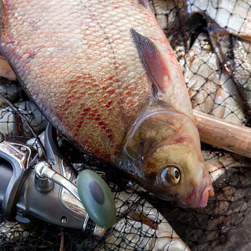 Fishing Net Fish Saver Landing Net netic Clip Lanyard Fly Fishing Net