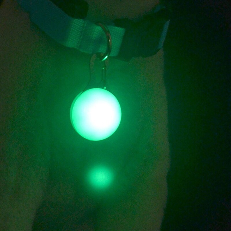 Pendentif pour animaux de compagnie lampe de poche LED de sécurité collier lumineux chiot chiens chat lumineux identifier