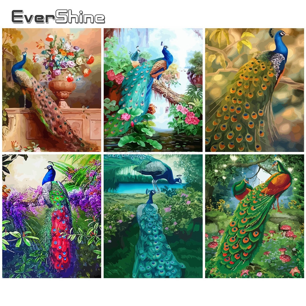 EverShine Painting By Numbers Animals Canvas Wall Set Paint By Numbers For Adults Peacocks Drawing Art