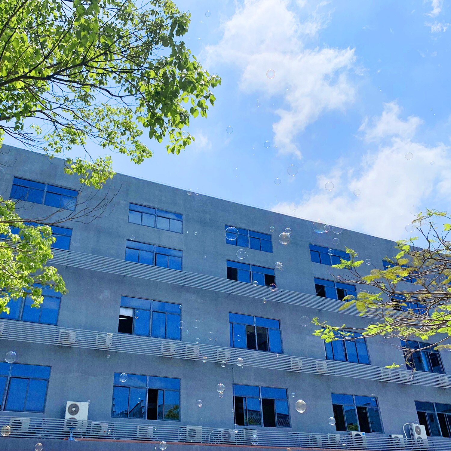 3pz Divertente Dei Capretti Bolle di Sapone Produttori di Bolla Che Fanno Bacchetta Ventilatori Giocattoli per I Bambini Adulti Giochi tutto'aperto Festa di Compleanno Cortile gioco