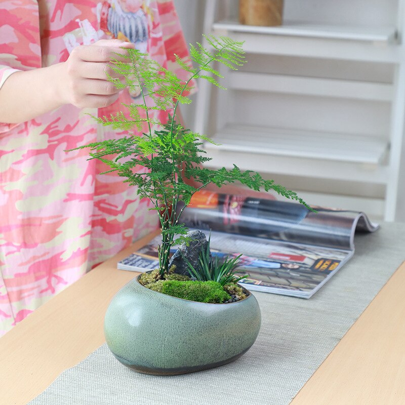 Maceta pequeña de cerámica Retro Para el hogar, maceta creativa de escritorio para plantas verdes suculentas Wenzhu, utensilios de jardín chino hechos a mano