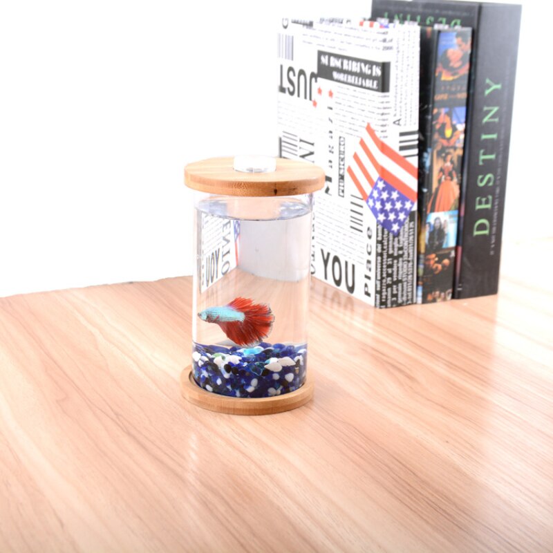DIY Pattern Ecological Bottle Fish Micro Landscape Aquarium Small Fish Living Bucket Desktop Small Fish Tank