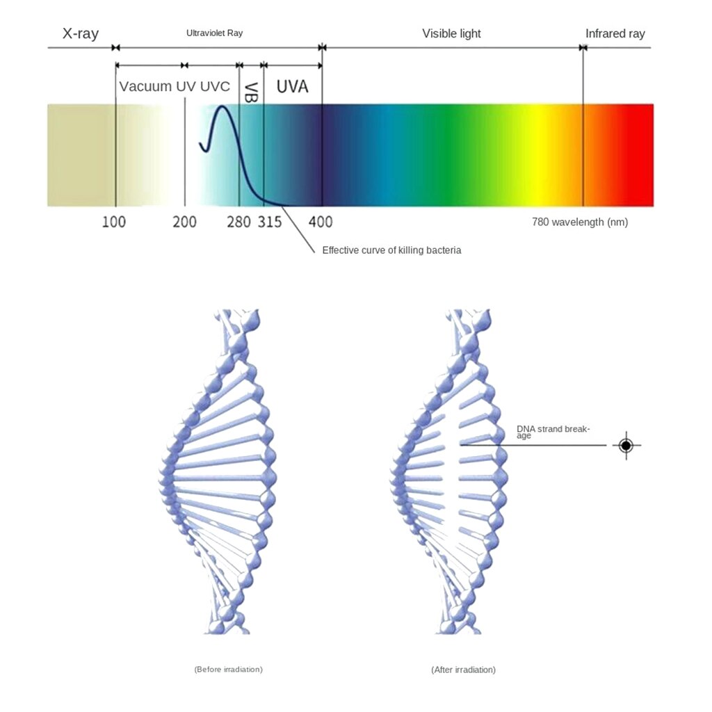 Handheld Portable LED UV UVC Disinfection Lamp Germicidal Sterilizer LED Light Efficient Disinfection UV Sanitizer Light