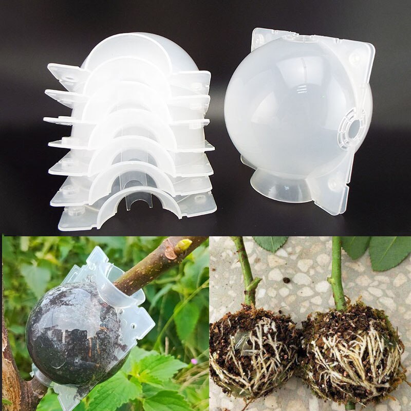 12Cm Fruit Plant Boom Wroeten Bal Wortel Doos Plastic Case Transparante Bloem Enten Rooter Groeiende Hoge Druk Fokken f20