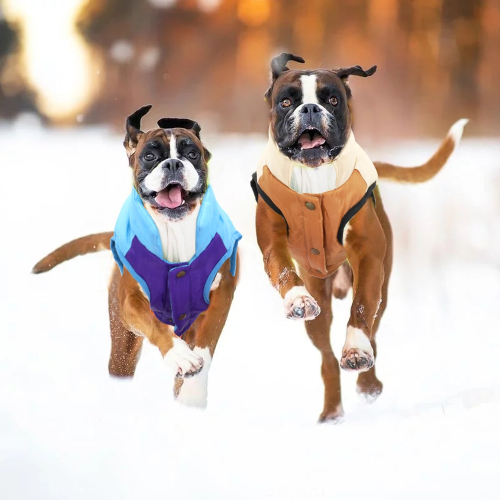 Vinter hundetøj vest små store hunde jakke frakke varmt kæledyr tøj outfit chihuahua mops fransk bulldog tøj veste