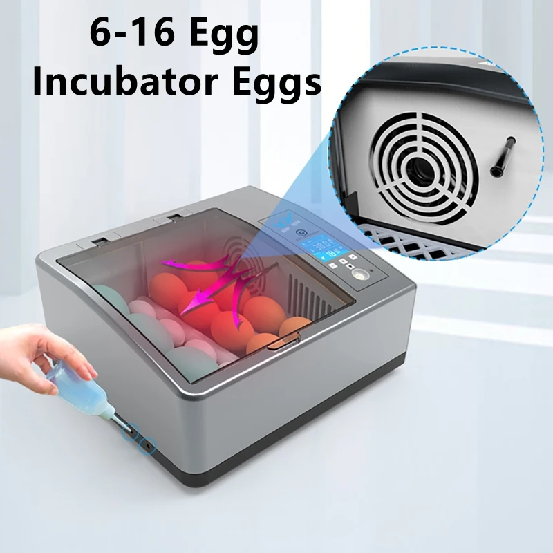 220V Eieren Incubator Broedmachine Automatische Boerderij Incubatie Gereedschap Vogel Kwartel Kuiken Broederij Gevogelte Hatcher Turner 6-16 Ei Incubator
