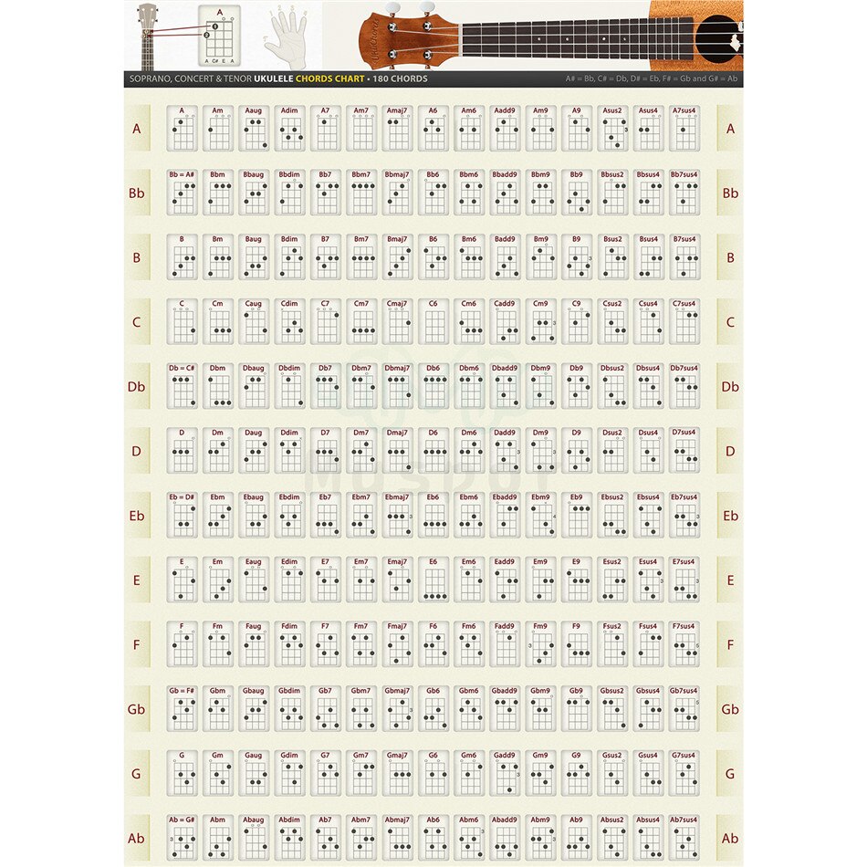 Alfred's Ukulele Chord Chart: A Chart of All The Basic Chords In Every Key Chart Ukulele Stickers Paper 30x40cm and 40x60cm