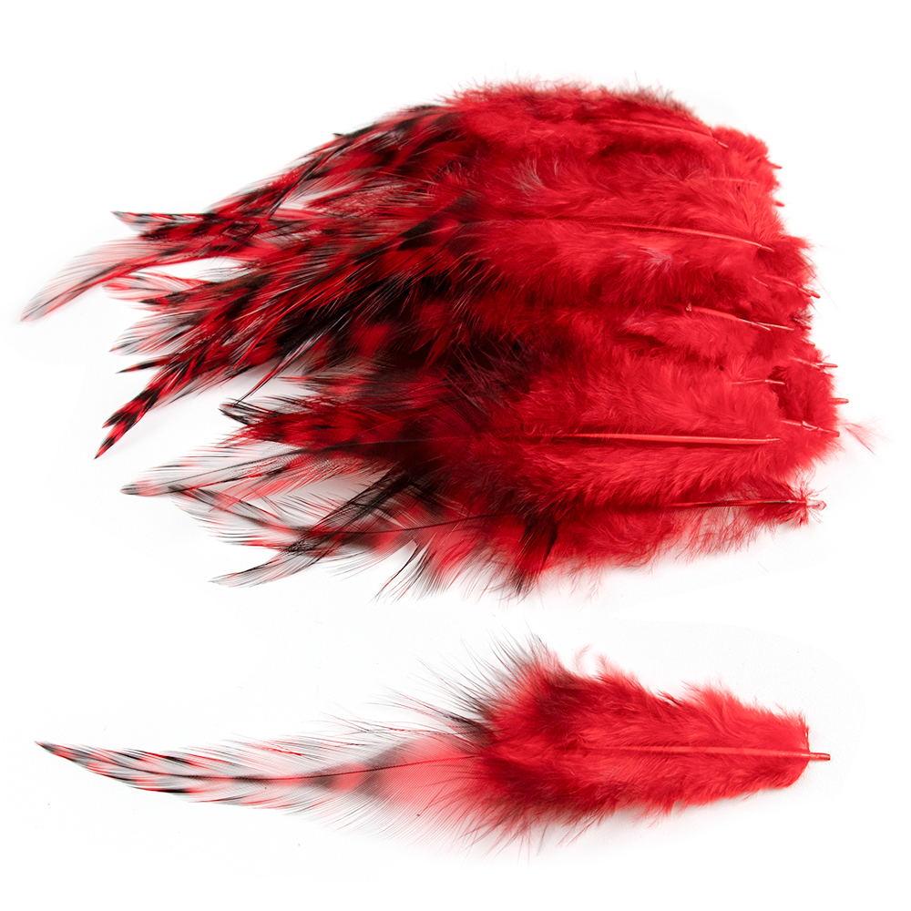 50/100 Stück natürliche Hahnenfedern Fasanenfedern 10–15 cm/4–6 Zoll für Bastelarbeiten, DIY-Ohrring, Schmuck, Bastelzubehör: L / Weiß