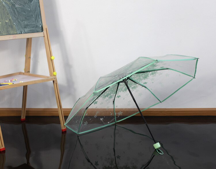 Anpassung von Prinzessin Regenschirm Werbung Regenschirm mit rean Klapp Apollo Transparent Arch und Drei Falten Regenschirm: Hellgrün