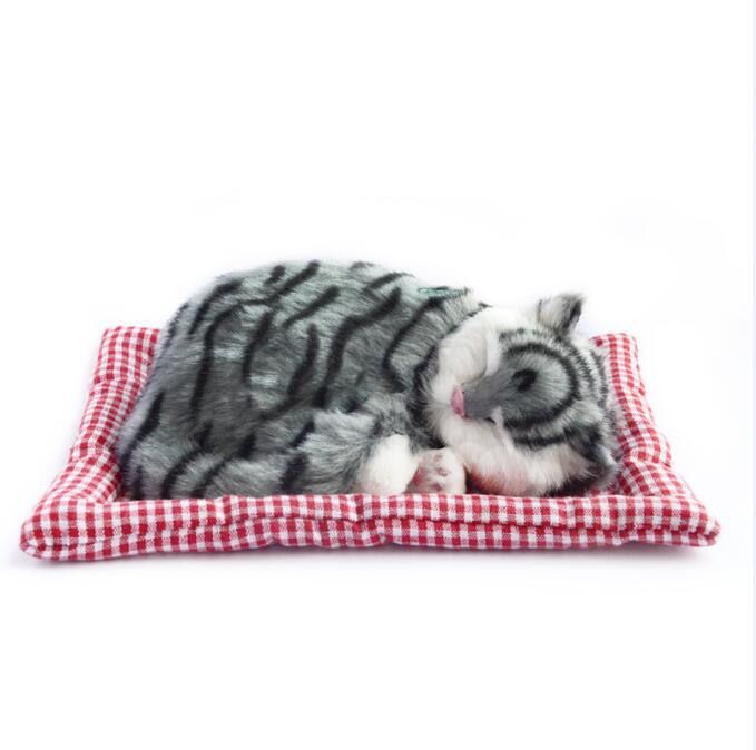Simulation animal chat lit chien animal de compagnie d'anniversaire Simulation jouets pour enfants endormi chat chien électronique animal de compagnie: Qing dao mao BD