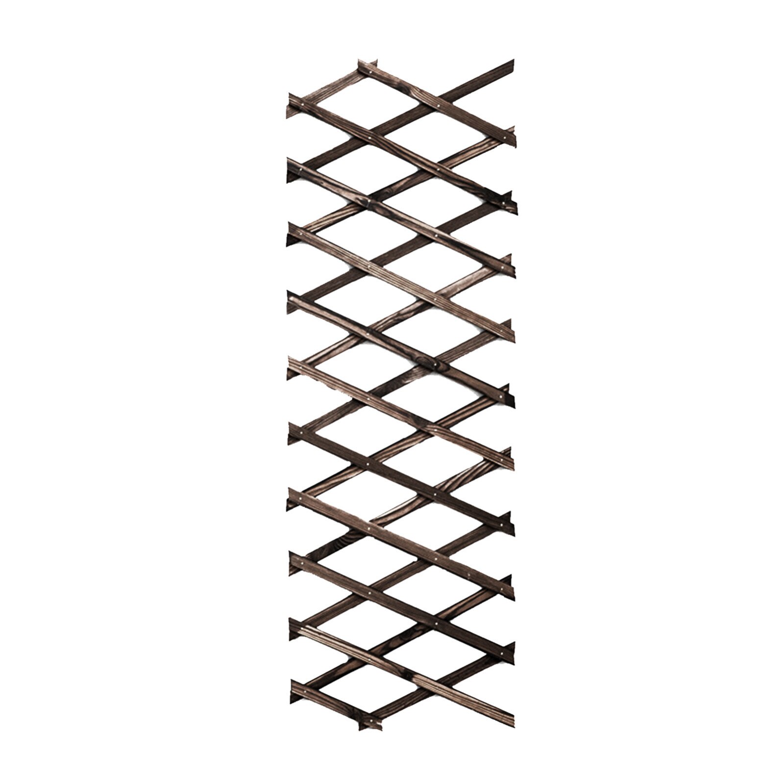 Valla extensible para decoración de jardín, enrejadas de escalada de plantas, tierra de jardín, sauce, accesorios de boda: Default Title