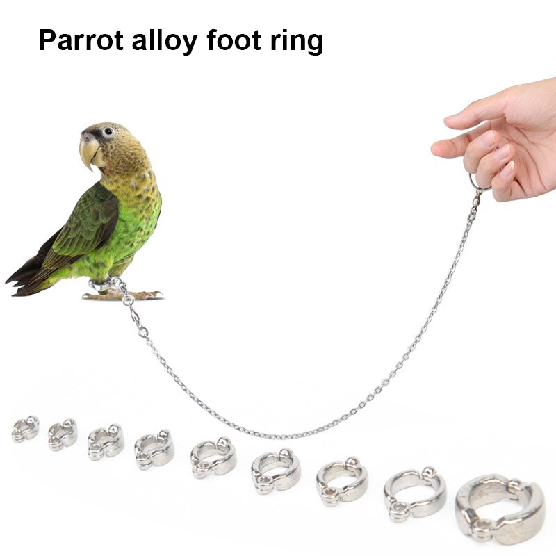 Anneau de patte en acier inoxydable, accessoire de patte, oiseau, Pigeon, perroquet, chaîne de Traction Anti-vol, accessoire