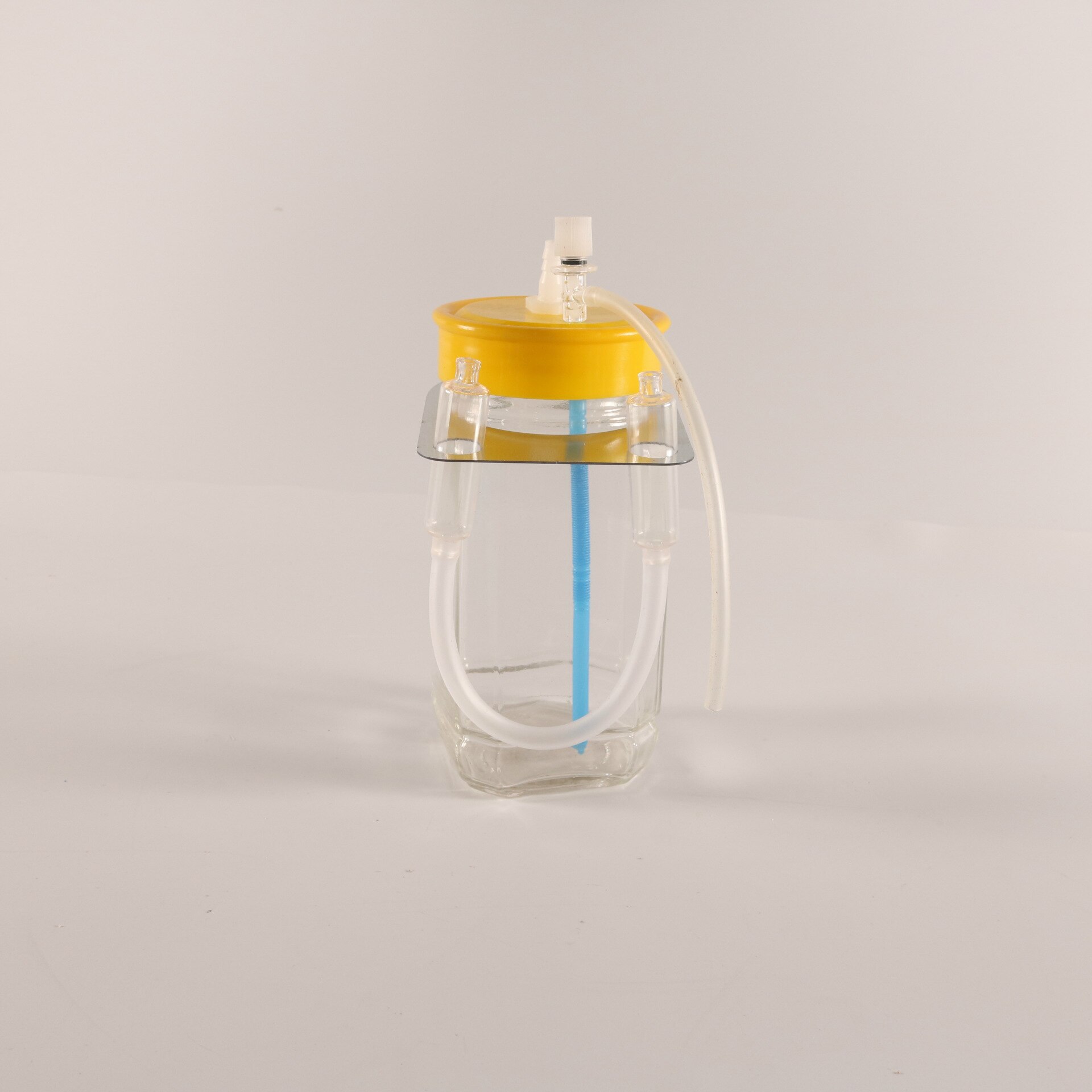 Fruit Wine Vinegar Fermentation Device Biology Teaching Instrument Biological Fermentation Experiment Props Fermentation Bottle