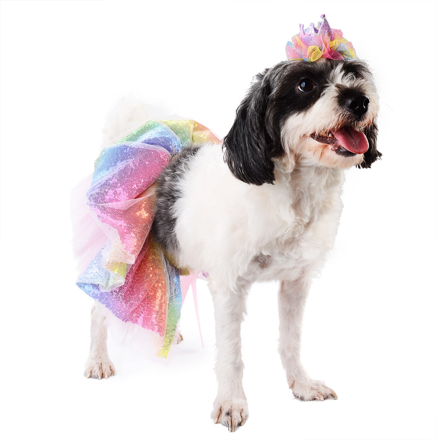 Jupe Tutu à paillettes pour animaux de compagnie, Costume mignon pour chien, avec bandeau et pince à cheveux, accessoires de vêtements pour animaux de compagnie, fournitures pour animaux de compagnie