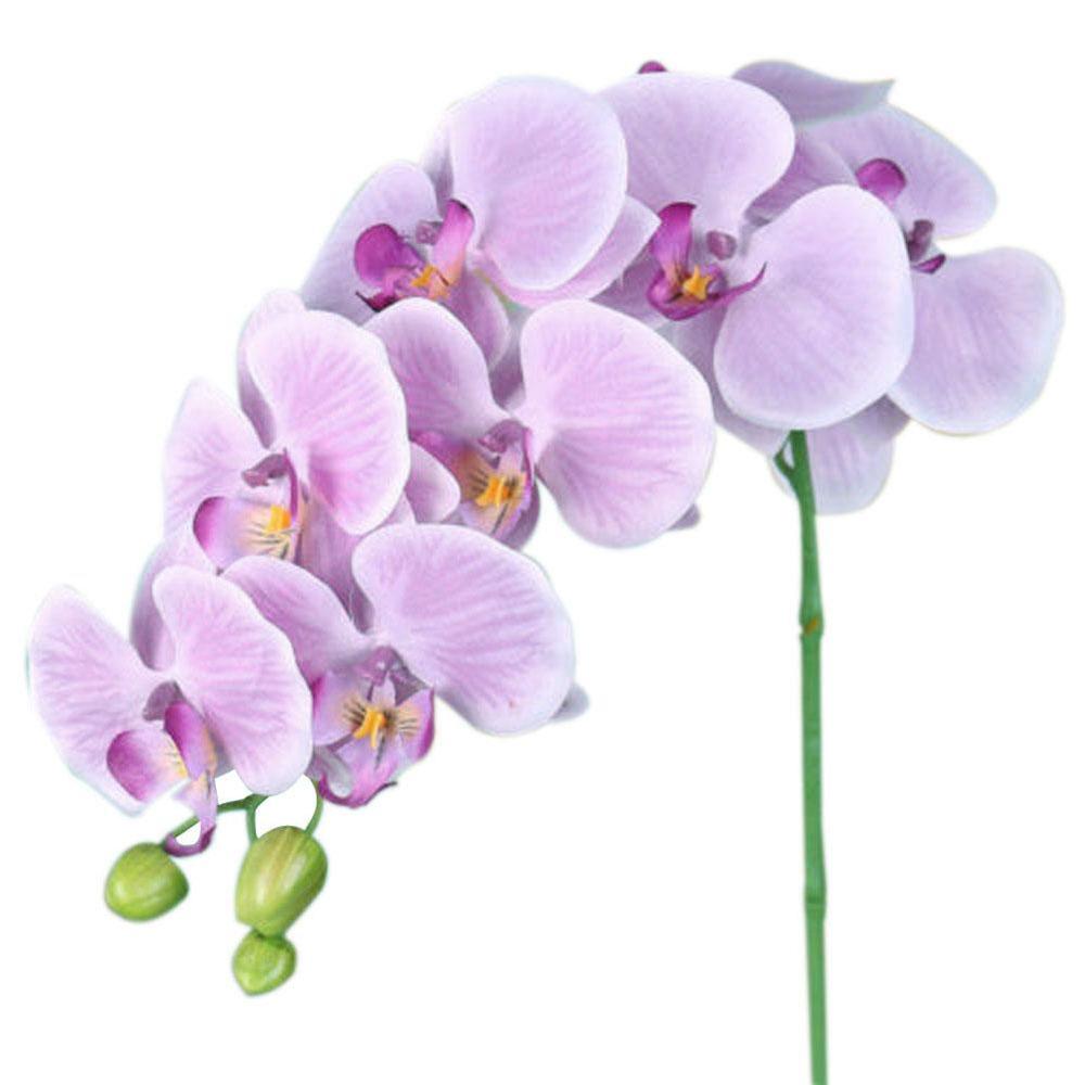 Vlinder Orchidee Zijde Bloem Boeket Phalaenopsis Bruiloft Home Decoratie Tuin Zijde Bloem Restaurant