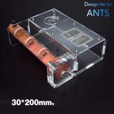 200 x 30mm bambus trækul glasrør myrer reden børn videnskab biologisk klasse abservation legetøj porcelæn sandrør myreture: Zone og rør reden b