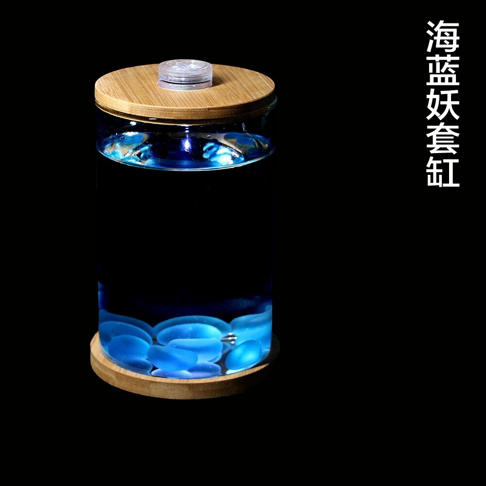 Dou Fish Tank Office Desktop Microview Mini Small Glass Tropical Fish Tank Aquarium Ecological Bottle Aquarium Tank: Blue