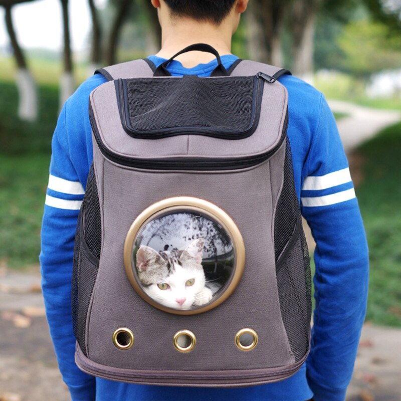 Cat space bag cat backpack pet dog travel out backpack back dog cat cat canvas carry cabin school bag