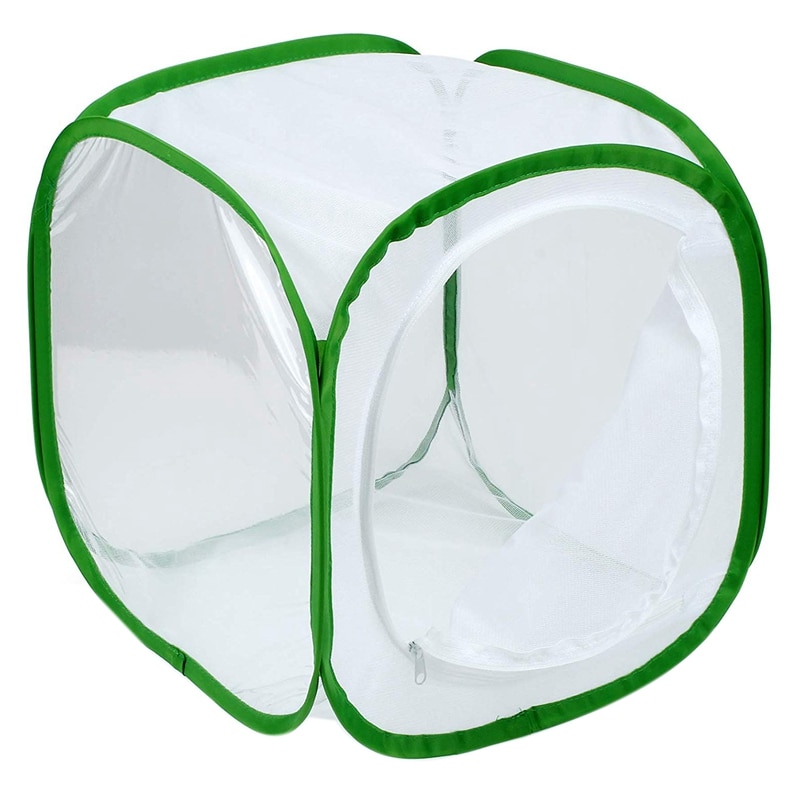 Big Insect and Butterfly Habitat Cage Terrarium Pop-up 12 x 12 x 12 Inches (White + green): Default Title
