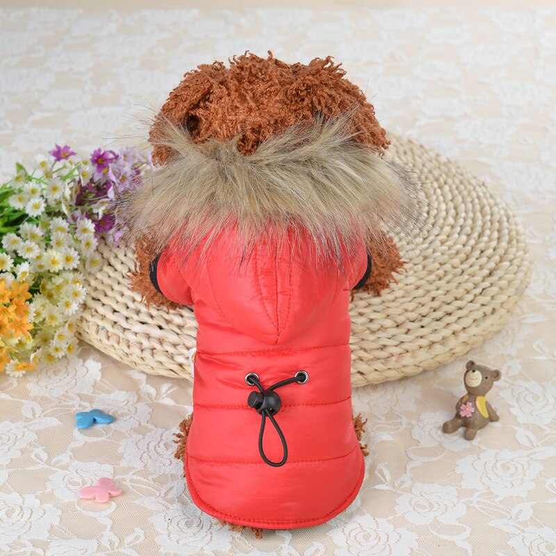 Vinter varmt kæledyr hundetøj til små hunde chihuahua bulldog tøj tykkere hvalp kat frakke jakker hunde outfits kæledyr produkter