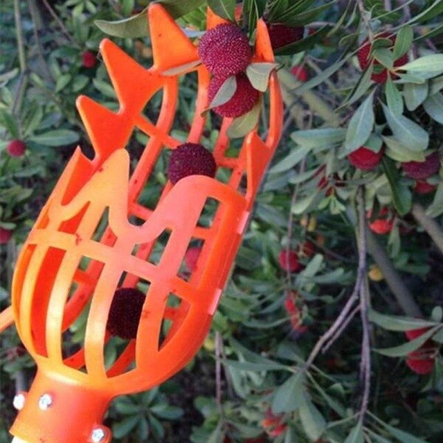 Fruit Picker Tool Farm Fruit Cathcer Picking Picking Garden Hardware Gardening: Orange