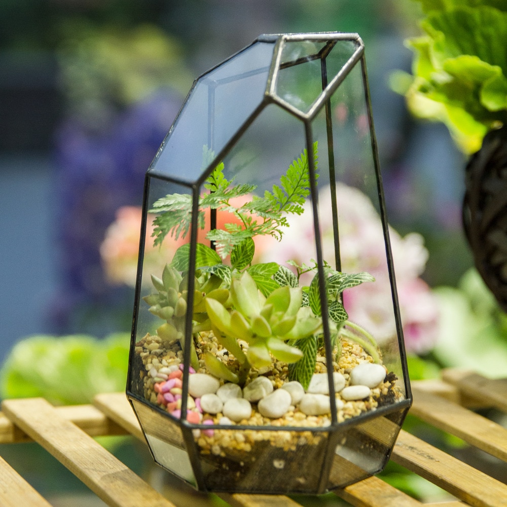 Glas terrarium planter have bordplade miniature uregelmæssig geometrisk glas blomsterpotte til sukkulenter mos bregner plante terrarium