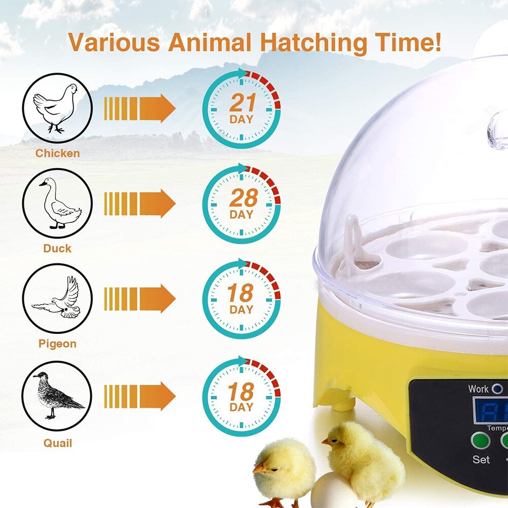 7 Egg Incubator Eggs Rack Hatching Brooder Machine Automatic Quail Brooder Farm Hatchery Incubator Chicken Bird Incubation Tools