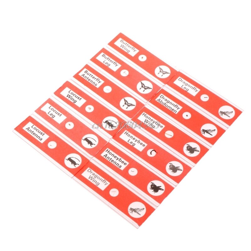 12 Pcs Prepared Microscope Slides Set Specimen For Student Basic Biology Education R09 Whosale