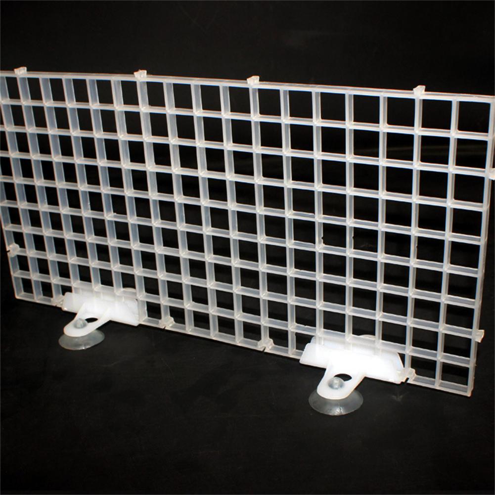 5Pcs Eco-friendly Anti-skid Tasteless Fish Tank Divider Suction Cups for Aquarium Fish Tank Suckers Partition Suckers