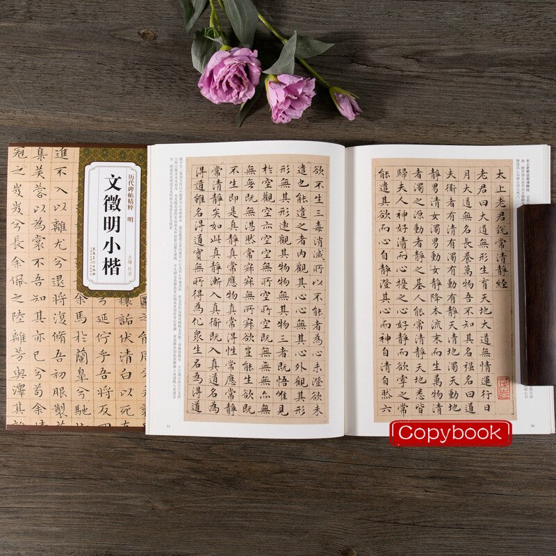 Cahier de calligraphie chinoise, petit cahier régulier, cahier à friction, écriture sur pierre, pratique de la calligraphie