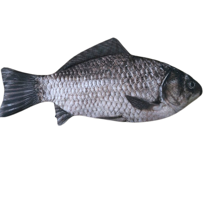 Penaali kawaii penaali iso paperitavaralaukku kala korealaistyylinen kynärasia kynäpussi toimisto- ja koulutarvikkeet