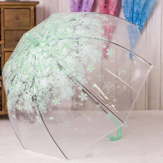 Apollo Prinses Romantische Sakura Paraplu Transparante Paraplu Eva Vrouwen Regen Parasol Lange Steel Rechte Paraplu: green